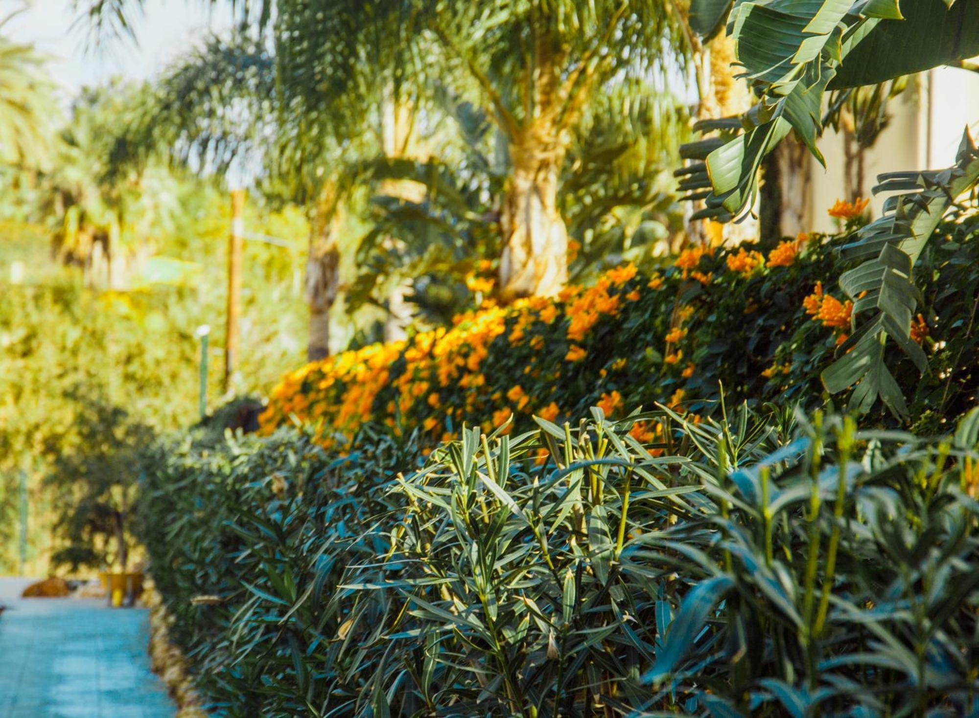 Sierra Blanca Resort Art Of Healing Марбеля Екстериор снимка